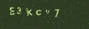 Validation image