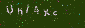 Validation image